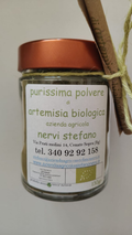polvere pura di artemisia vulgaris